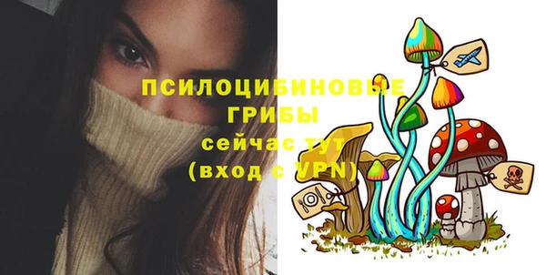 шишки Волоколамск