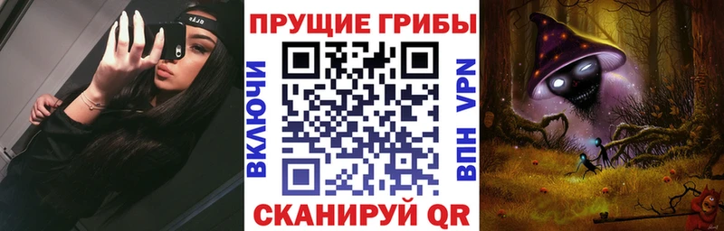 Купить где  Рудня  Псилоцибиновые грибы Psilocybine cubensis 